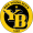 BSC Young Boys